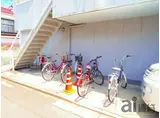 フラットステラ