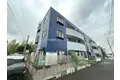 アムールF