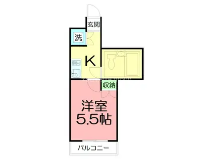 ワコーレエレガンス秦野(1K/1階)の間取り写真