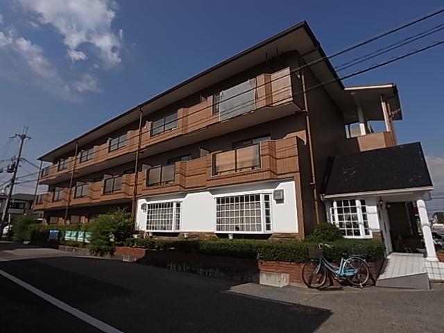 アンヘル