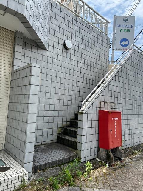 Dビル
