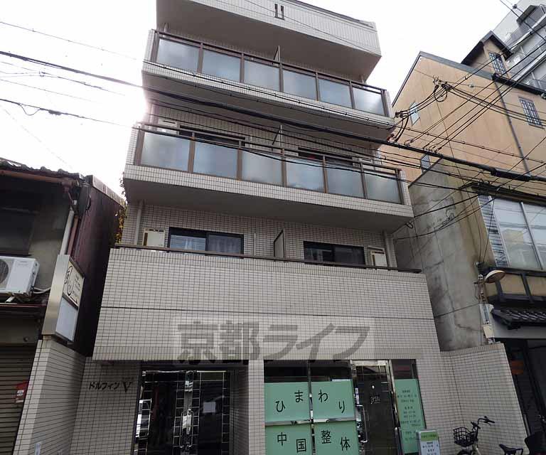 ドルフィンV