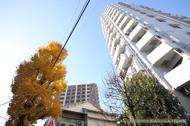 ライオンズプラザ白山
