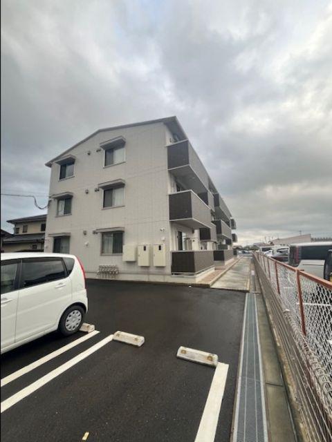 D-ROOM来春