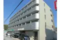 ピアプレミール