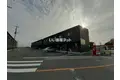ミコヴィータ