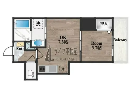 ジャカルタ519(1DK/1階)の間取り写真