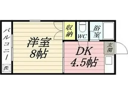 辻マンション(1DK/2階)の間取り写真