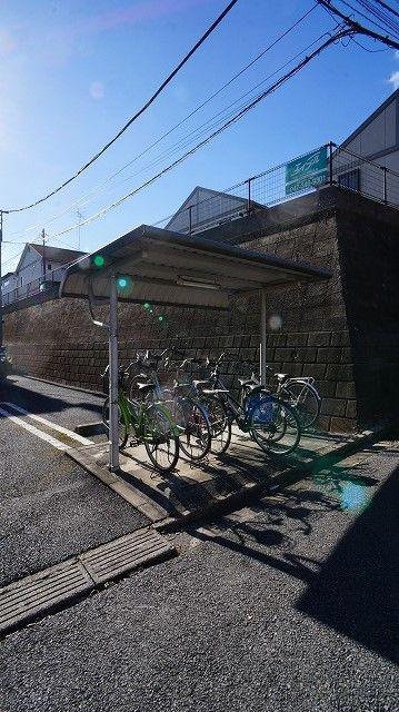 コガネハラーゼ・ナミキ