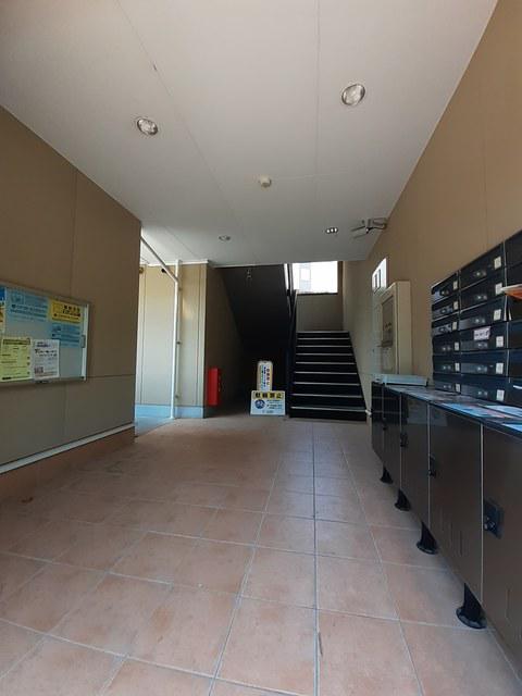 YI アイリス