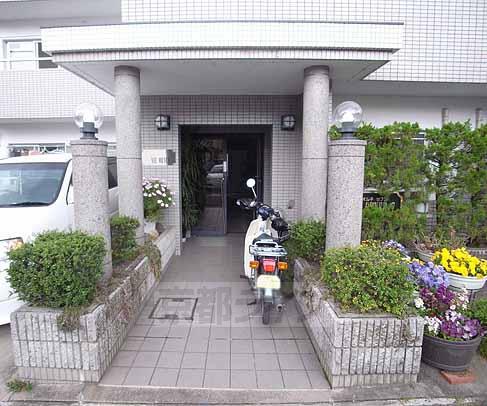 ビオルネセブン