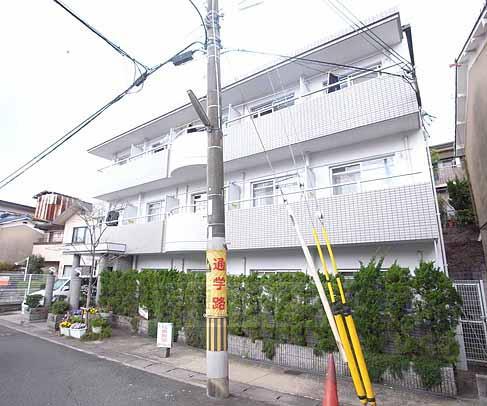 ビオルネセブン