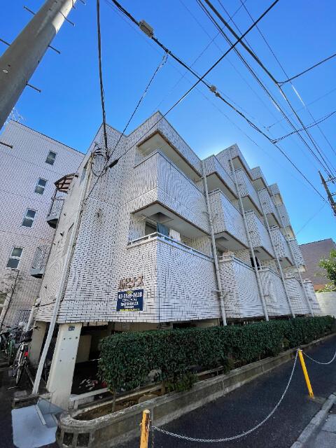 ルピナス