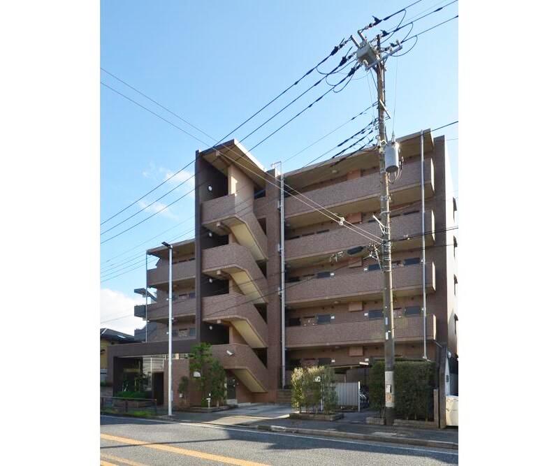 オキザリス