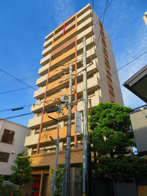 エクセレント上新16