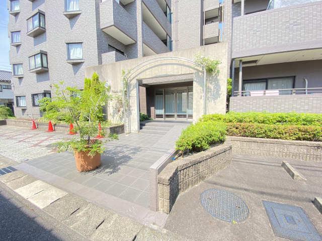 ノアコーワ