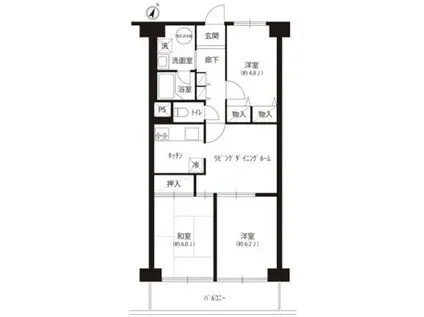 マンハイム西大島(3DK/5階)の間取り写真