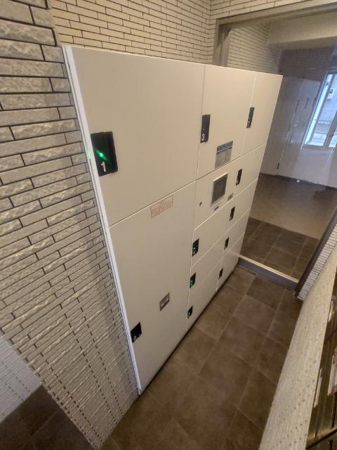エーデルワイス