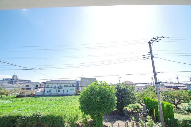 ソンネンドルフ
