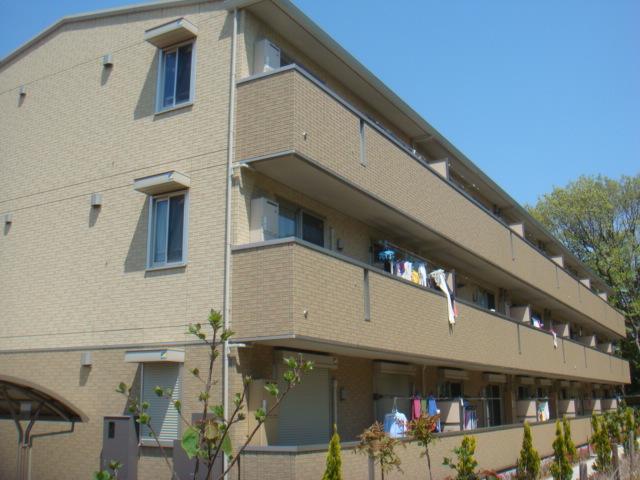 サリジエC