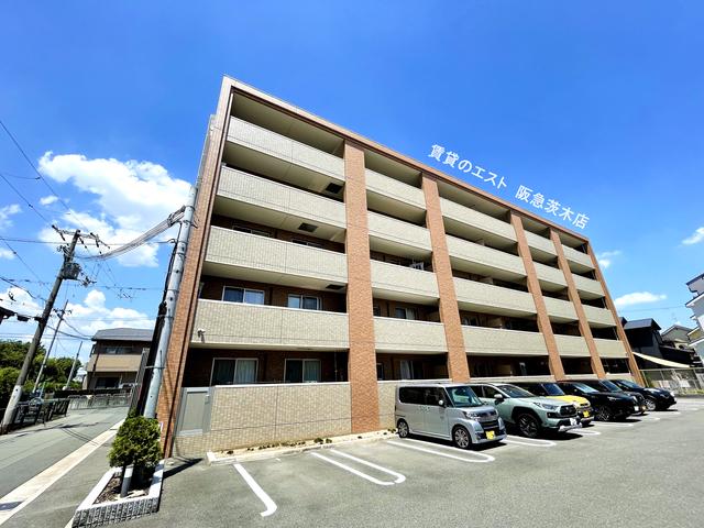 ネストージュ