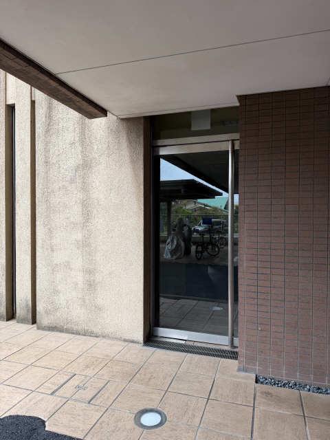 LIFETOWER