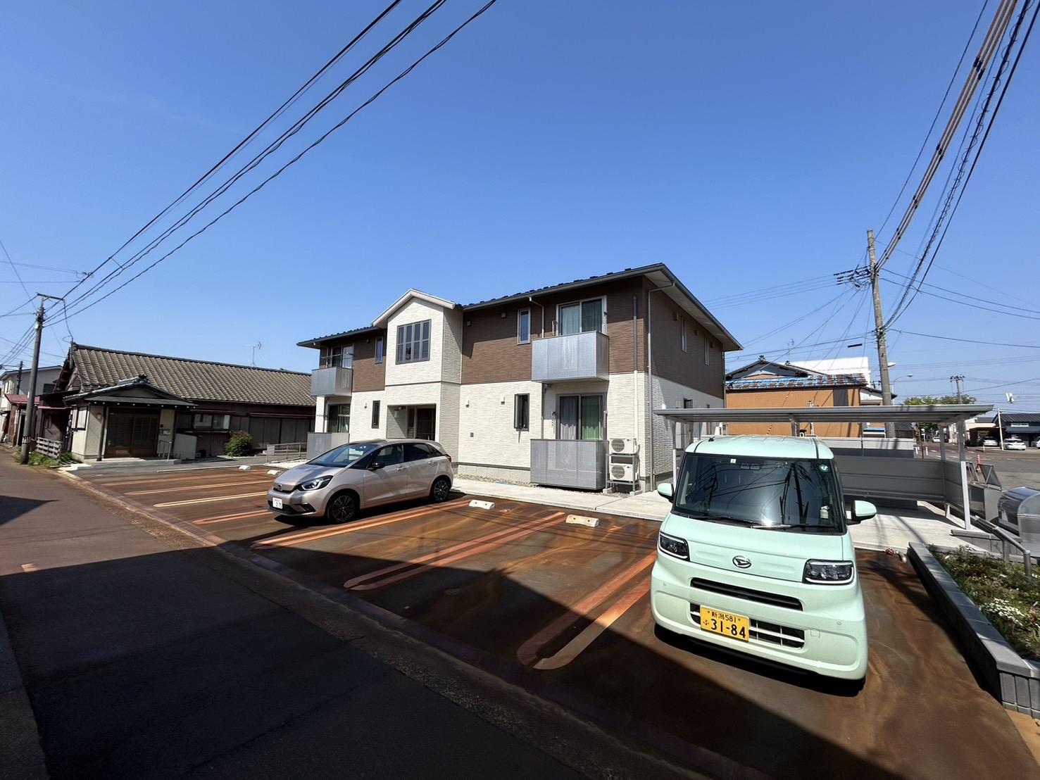ランペドゥーサ燕