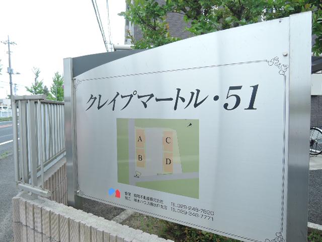 クレイプマートル・51 B