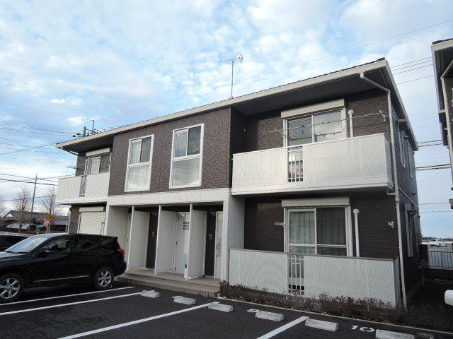 クレイプマートル・51 B