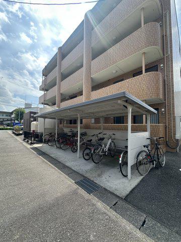 サルビア