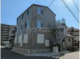 モンステラひばり