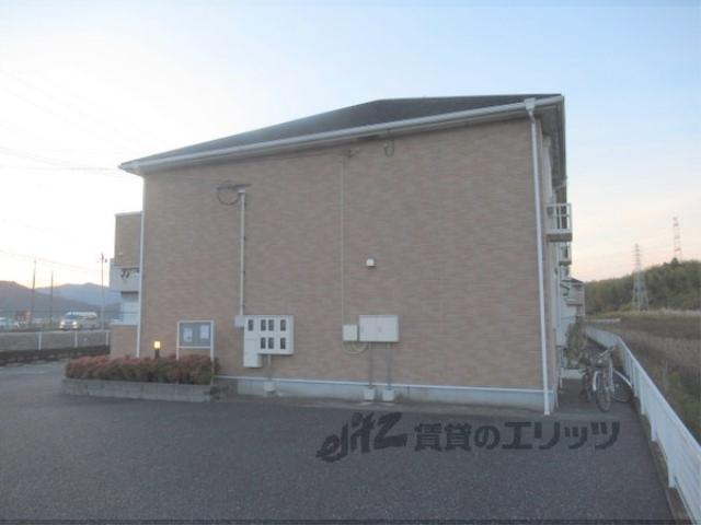 アガパンサスⅠ