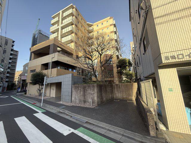 セルティスコート