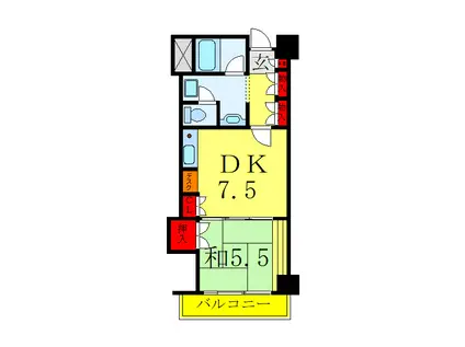 コンフォート文京小石川(1DK/1階)の間取り写真