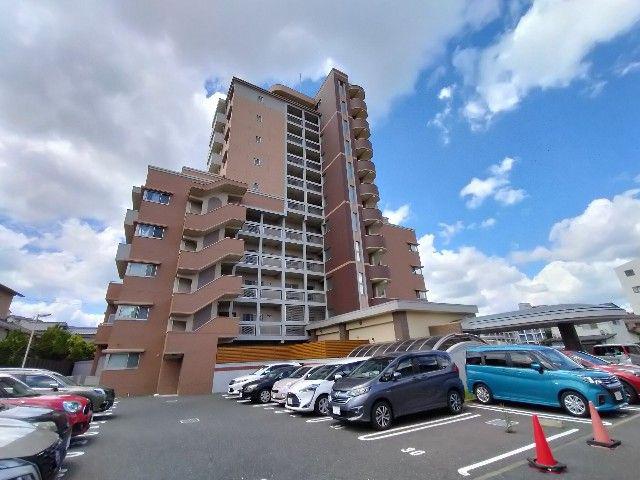 ファミール守恒