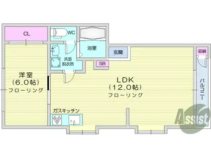 メゾンきむら(1LDK/1階)の間取り写真