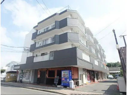 サンクチュアリ(2DK/4階)の外観写真