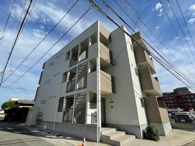 NONO 和白東