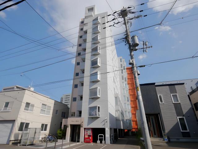 コスモス菊水