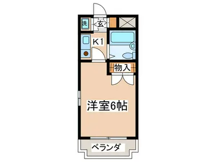 セジュール橋本(1K/4階)の間取り写真