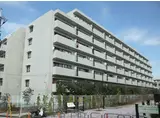 ステラメゾン武蔵小山
