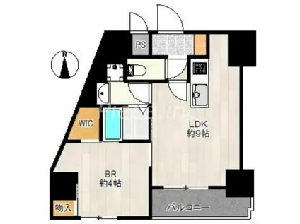 レクシア天神西町(1LDK/11階)の間取り写真