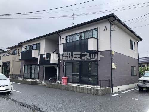 Tクレマチス・新保A