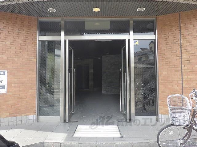 フリーダム中村