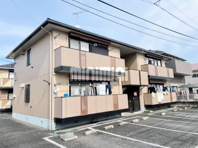 ロビンソシアA