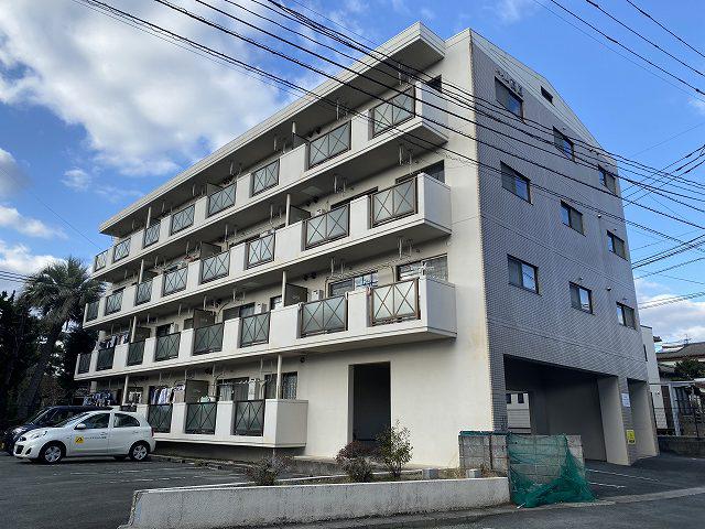 パピーズ光の森