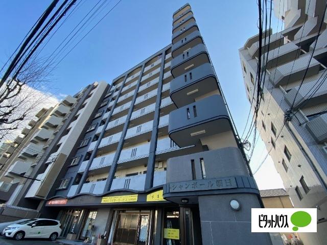 シャンボール朝日