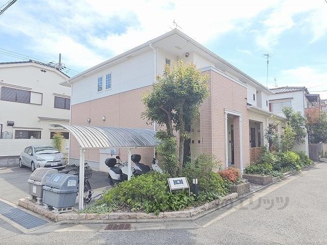 コウノトリ
