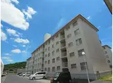 すずらん台コート