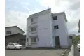 カルテットマミー
